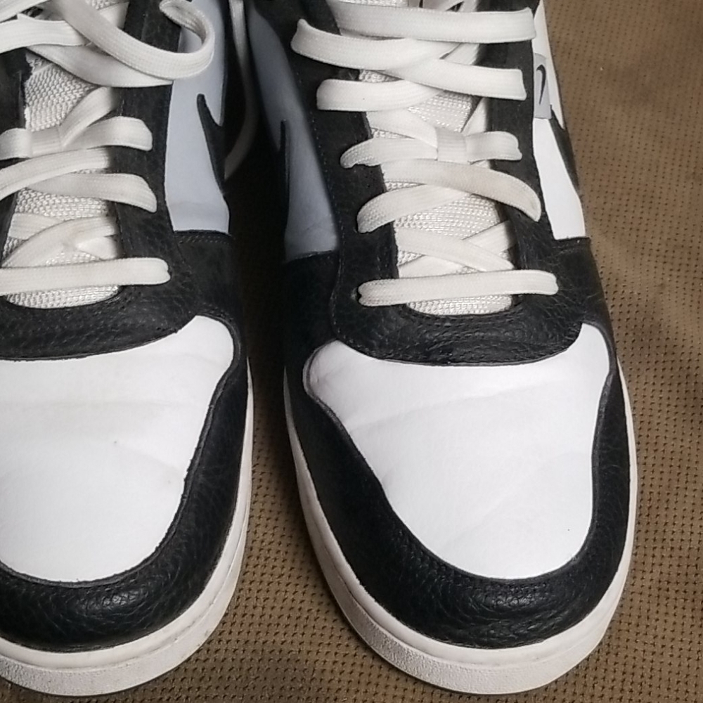 11.5 nike dunks low
